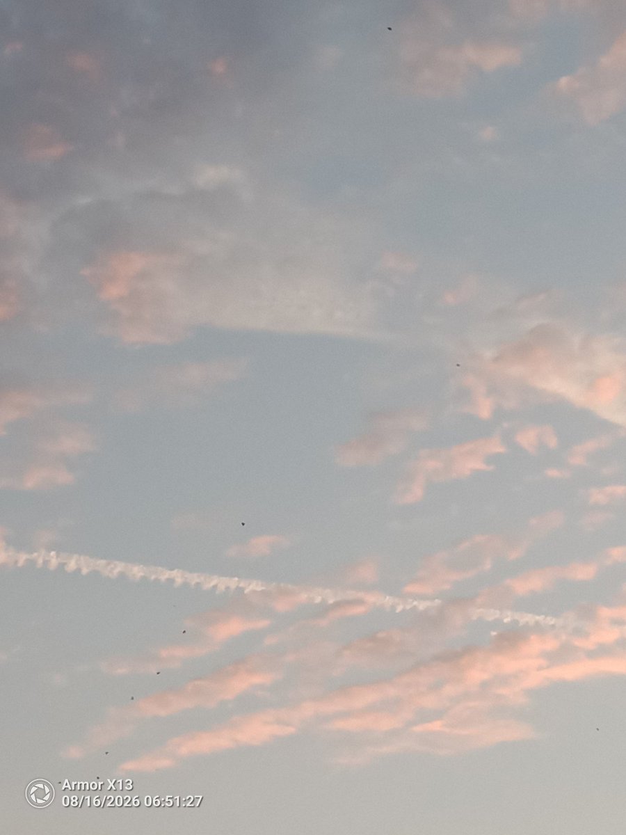Lolo15100's tweet photo. @LAcseipica @YouTube Levé du soleil ce matin à Mèze Hérault France 🤮😷☠️✈️✈️✈️ https://t.co/OwZSlV8KOM