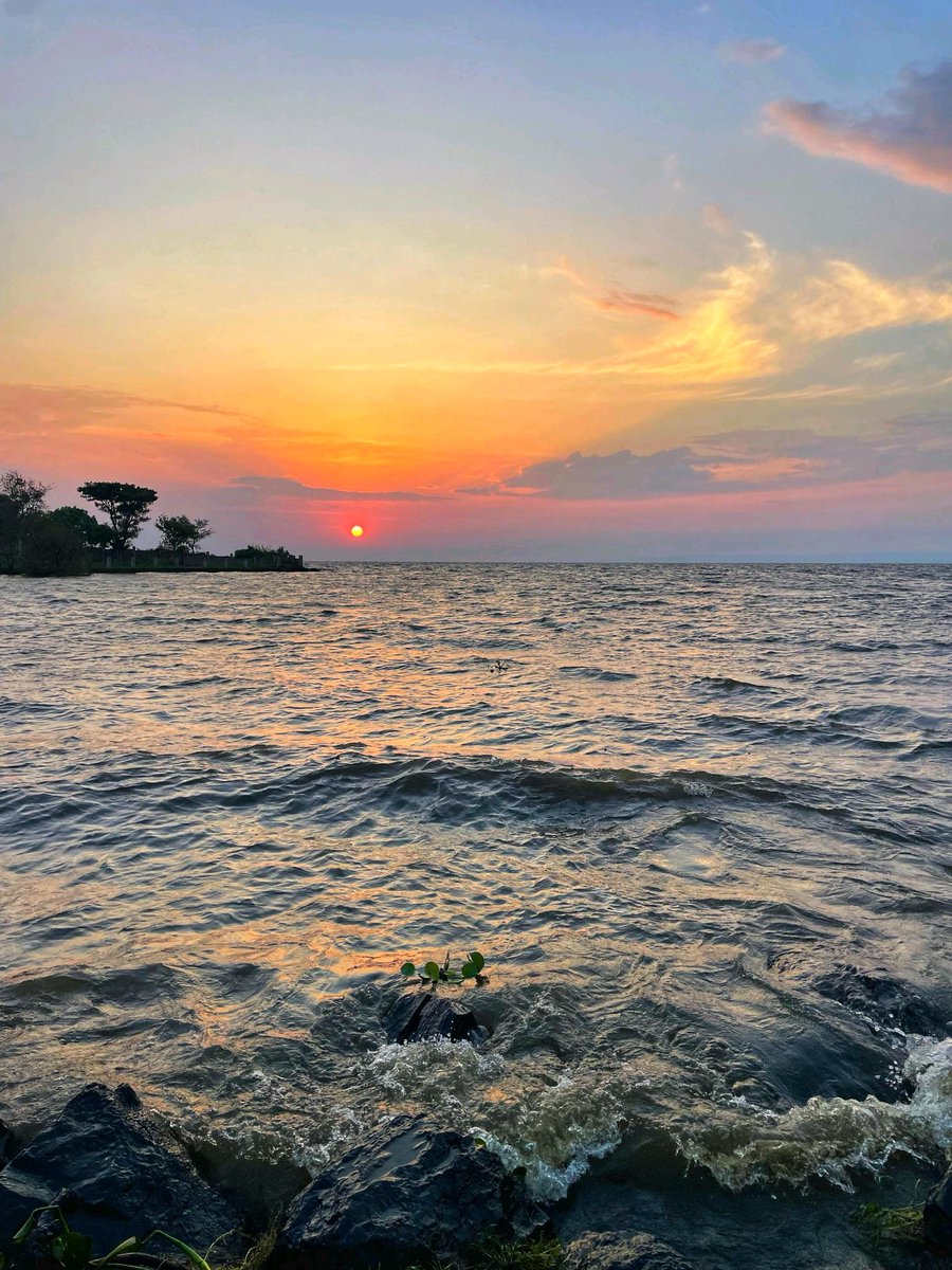 ItsJBke's tweet photo. My camera just caught a whole vibe.  How clear is your camera? https://t.co/ujHHH4EcOi