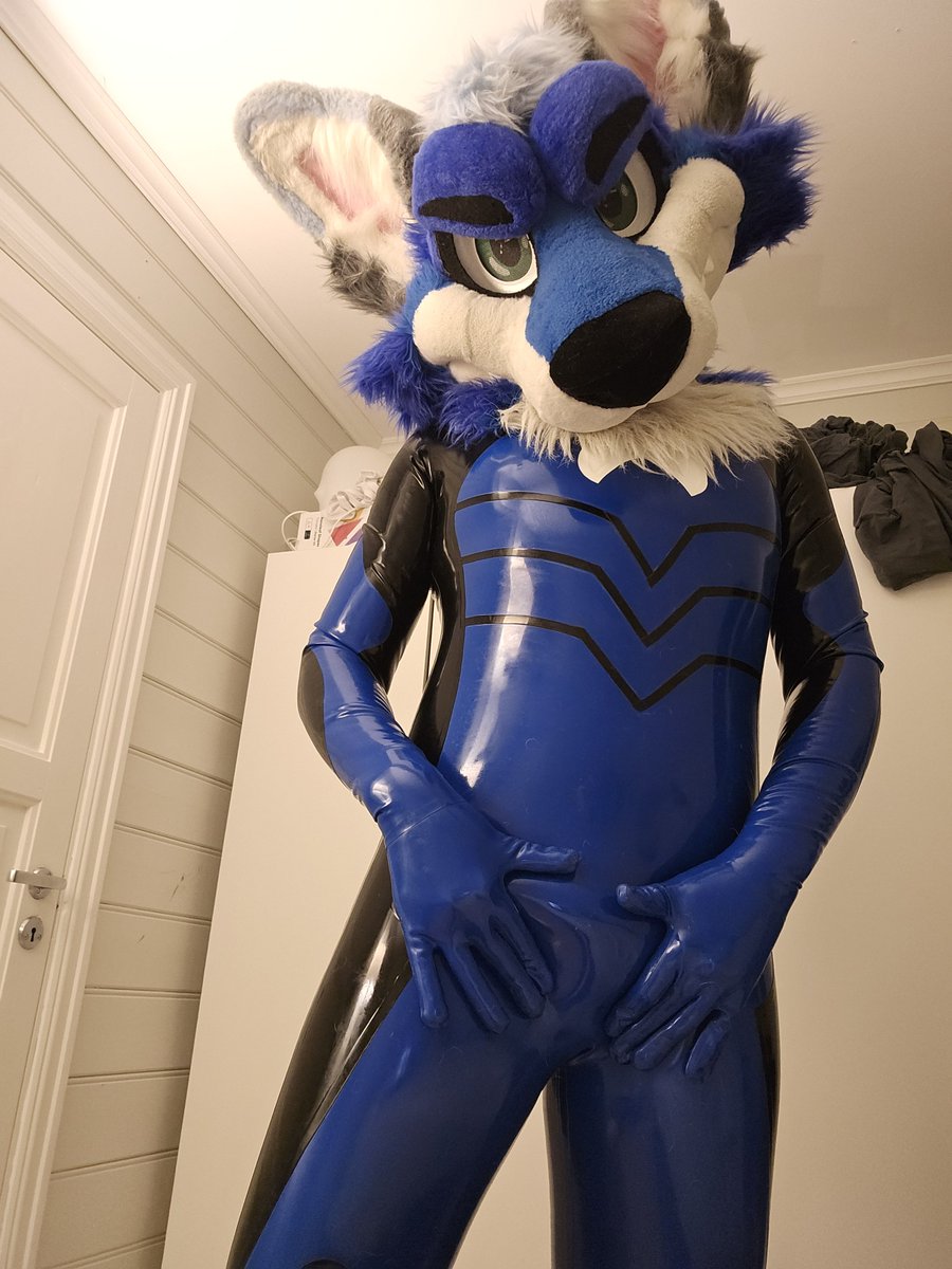 LaexiFoxAD's tweet photo. Get ready to see this shiny foxxo at Eurofurence in two days.😏 

What will you do if you find me~ 💙😘

#ShinySaturday #LatexFur #ef30 https://t.co/we1U9wzdFH