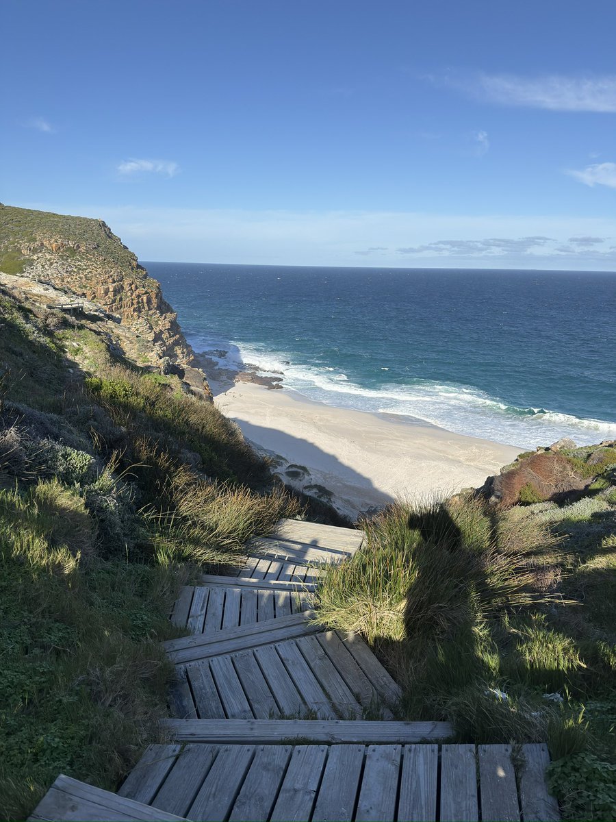 sumptuoustours's tweet photo. Cape Point is easy to visit. Seeing it is another matter. The lighthouse, the view, the photograph are only the beginning. Know the history. Slow down. Look closer. The destination is the same. The experience is not.

https://t.co/PUyQsFO6F1 https://t.co/nXnRgs7K3T