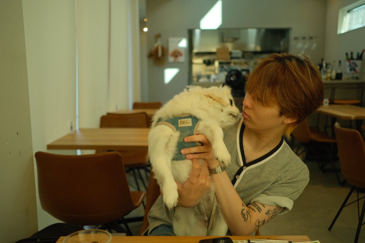 tqnu9's tweet photo. https://t.co/2YWIlcHAv1