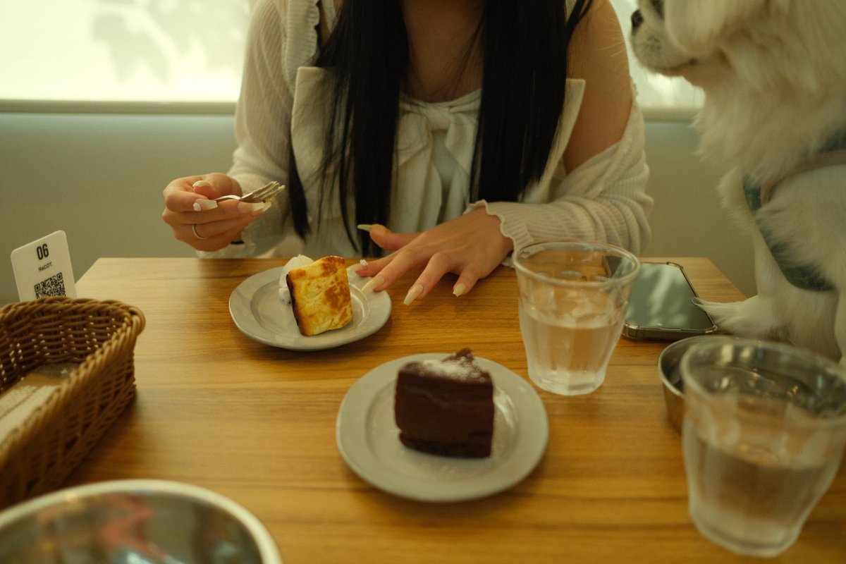 tqnu9's tweet photo. https://t.co/uVM2ypcaSX