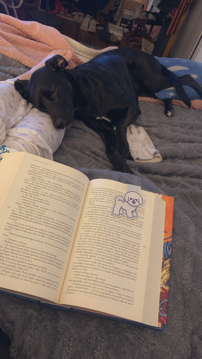 priss_robles's tweet photo. Panorama dominical 🖤🐶🤓 https://t.co/sDS1wt90Kh