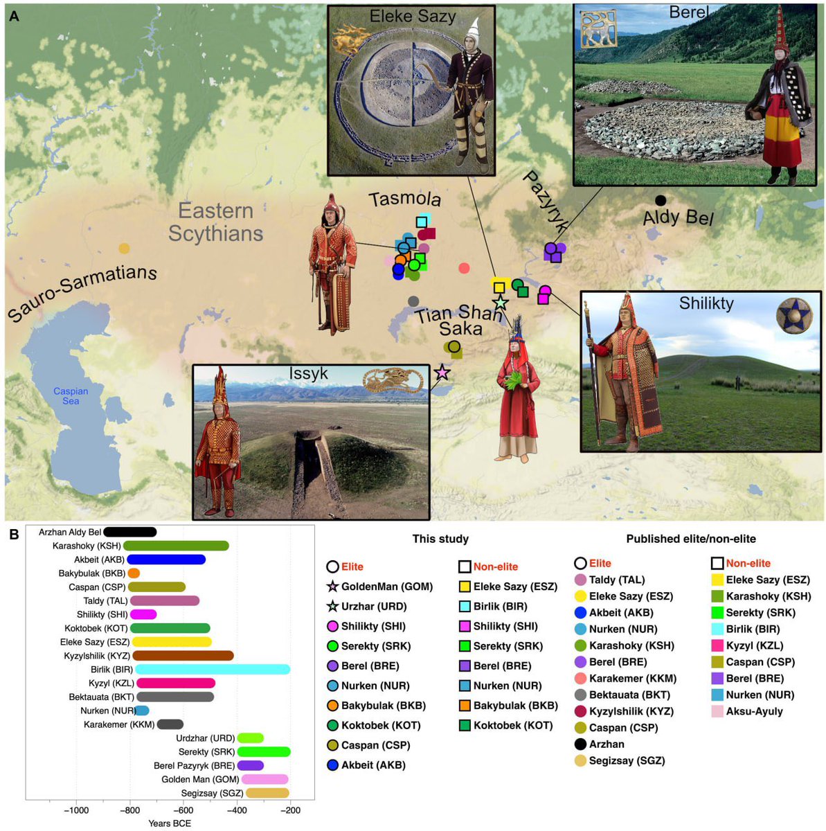 qazaqdna's tweet photo. New genetic evidence confirms the eastern Scythians (Saka) were a mixed population—with Mongoloid ancestry found in both elite and non-elite burials (10–90%).

Assuming eastern Saka were purely Europeoid is simply incorrect.

https://t.co/xCfVuTbaZp https://t.co/HxQmgZSL5w