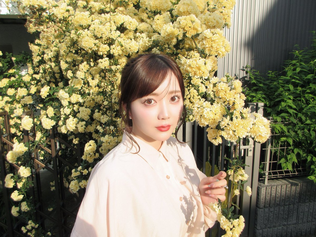 ayasa_ito tweet picture