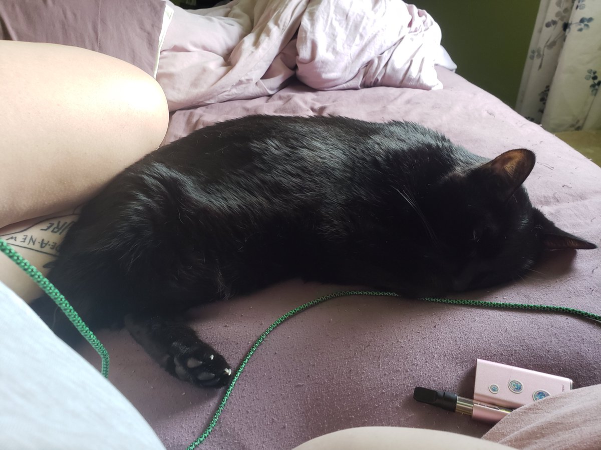 SarahIsTits's tweet photo. I don't want to run errands. I want to stay in bed 😔 https://t.co/EQtC8MQcSw