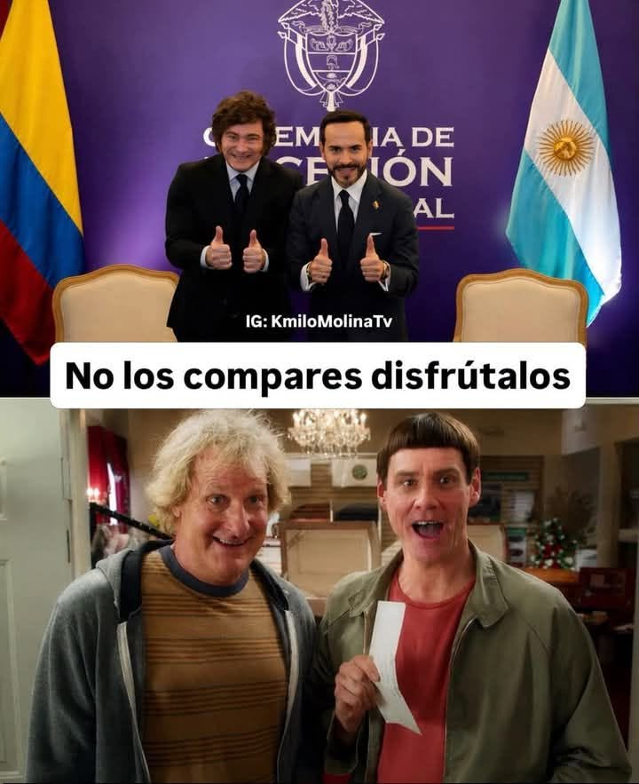 nacional_memes's tweet photo. 🐷 https://t.co/MSnP8J7SXR