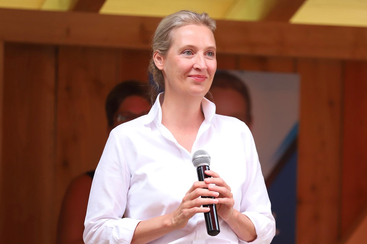 Alice_Weidel tweet picture