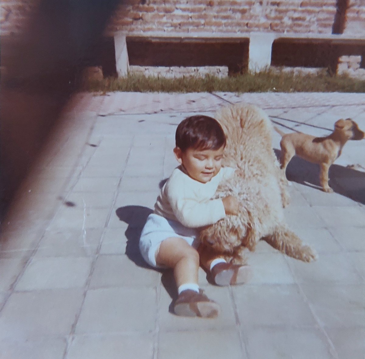 josema26's tweet photo. #estefinde porque de las vivencias de nuestra niñez, despende el resto de la vida. Gracias a La Vida, 53 años después 😃. FELIZ DIA!!! https://t.co/pRbXvWWiMI
