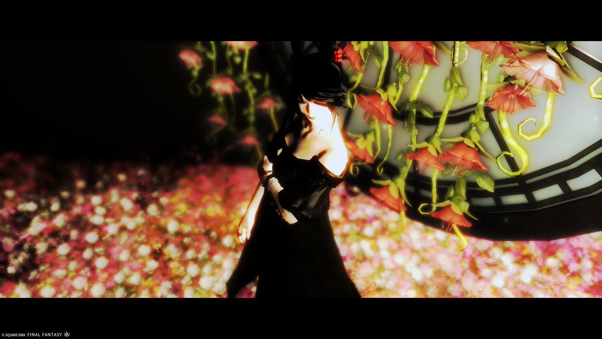 NeetNiya's tweet photo. #studio_np
#FFXIV #割ガチSS
#TLにヴィエラを貼ろう
#綺麗なお姉さんは好きですか
#疲れた時に見るヴィエラは自律神経を整えてくれるらしい
#ようこそ美しきヴィエラの世界へ
#影のカメラマン
黒バージョン?(先に貼ったものと同じ場所です)
©︎SQUARE ENIX https://t.co/DaiaCUbxW9