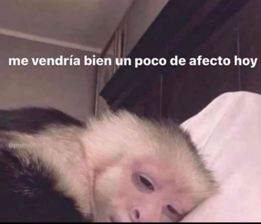 ValeryTw_'s tweet photo. 😪 https://t.co/yzgdfZNZge