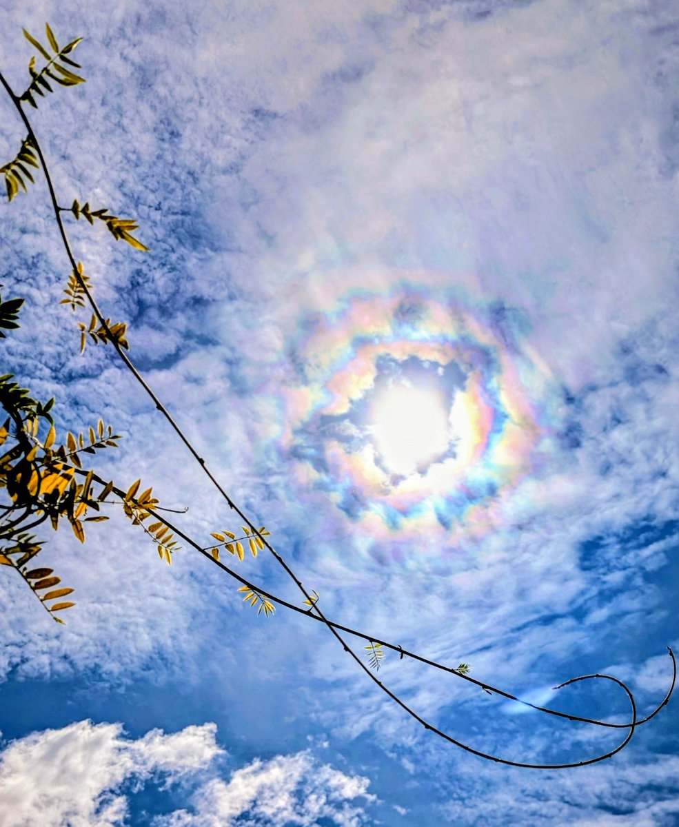 junkochan0403's tweet photo. 昨日の午後、太陽のまわりに虹色の彩雲が写っていました。
猛暑の中、災害の片付けは本当に大変です。希望の虹に見えたら幸いです。
#なんしょっと
#彩雲 https://t.co/netnI8oUWY