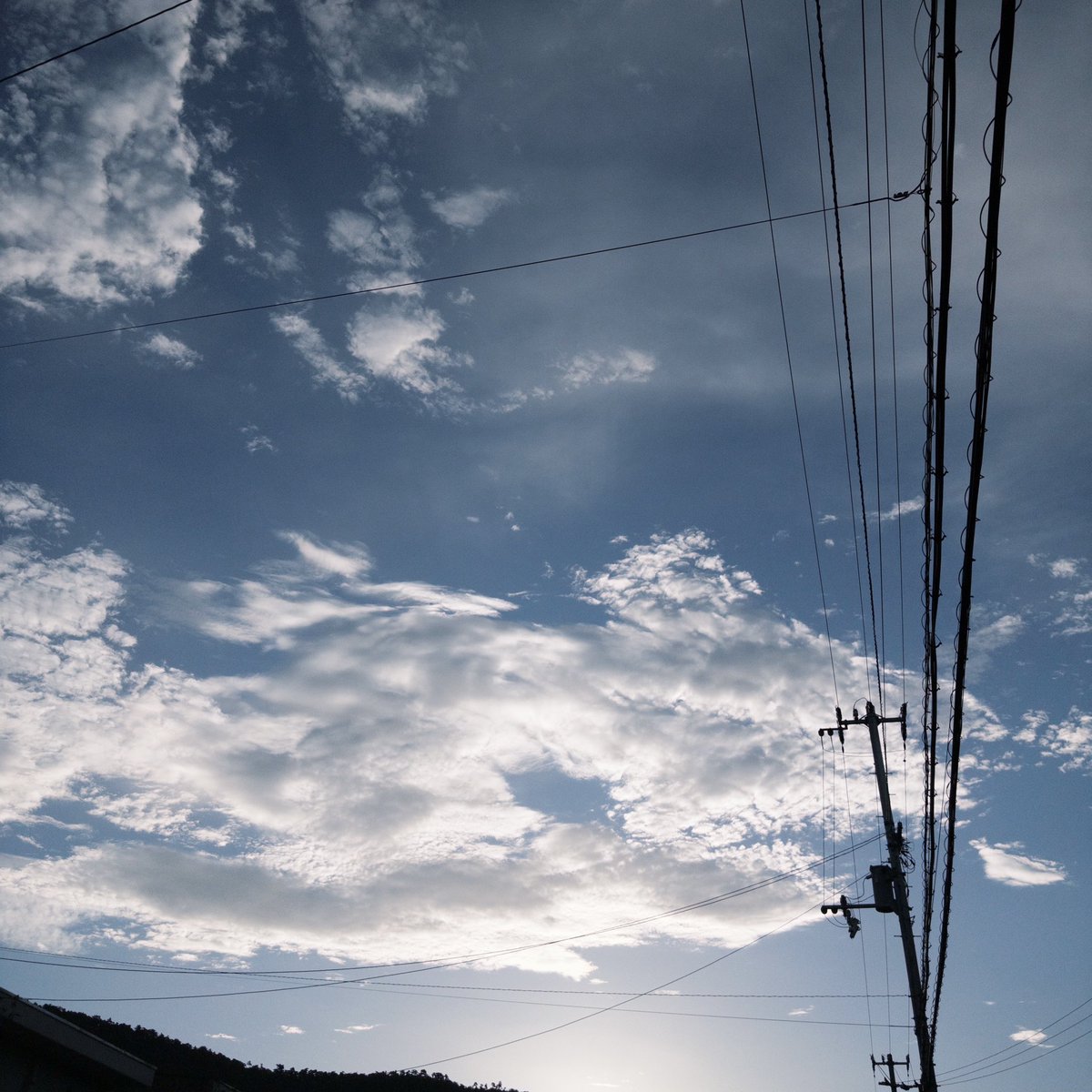 hitsuji_14e's tweet photo. おはようございます。とてもめずらしく散歩してきた。風もあって涼しかった〜いい朝だな。 https://t.co/PuJomRtoL4