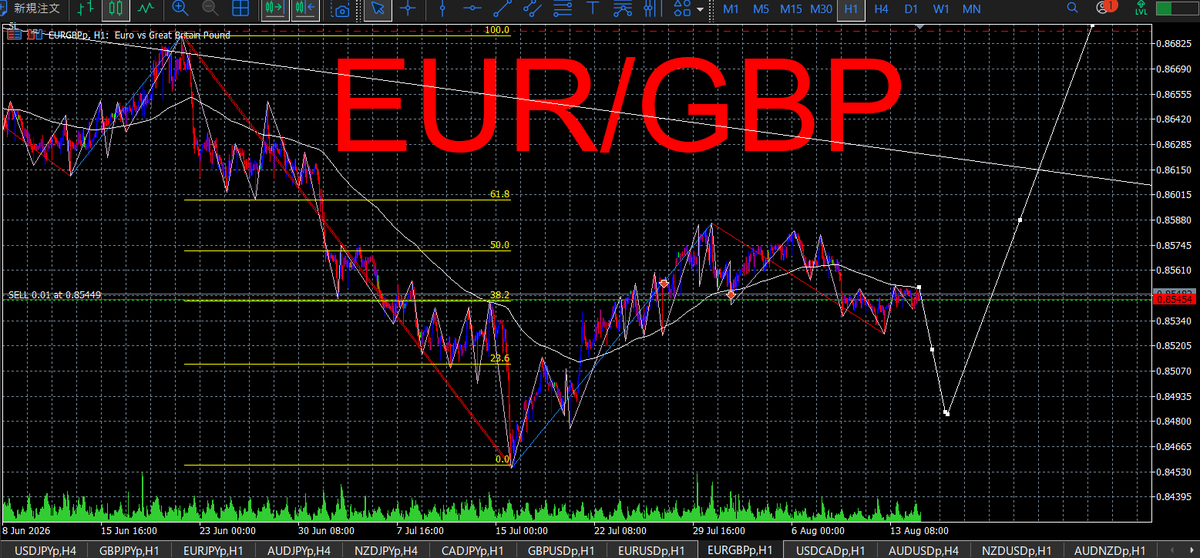 bonkuraii's tweet photo. 8月17日 EURGBP

大きな目線は上だが、H1は高値を切り下げながら調整下落中。ショート継続。0.853台割れで下落加速期待、0.856台回復なら警戒。 https://t.co/OwINYLo6hK