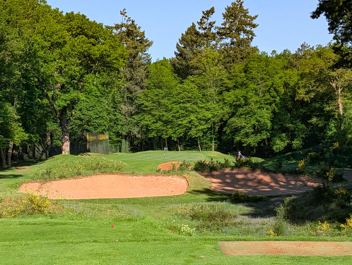 franksgolfing's tweet photo. The Grand Parcours at Golf Saint Germain has a fantastic set of par-3s and 116 strategically placed bunkers to keep golfers on their toes. Like much of the golf in France, it is understated and wonderful, apart from the sheer number of bunkers, of course. https://t.co/Pcxx3opwu3