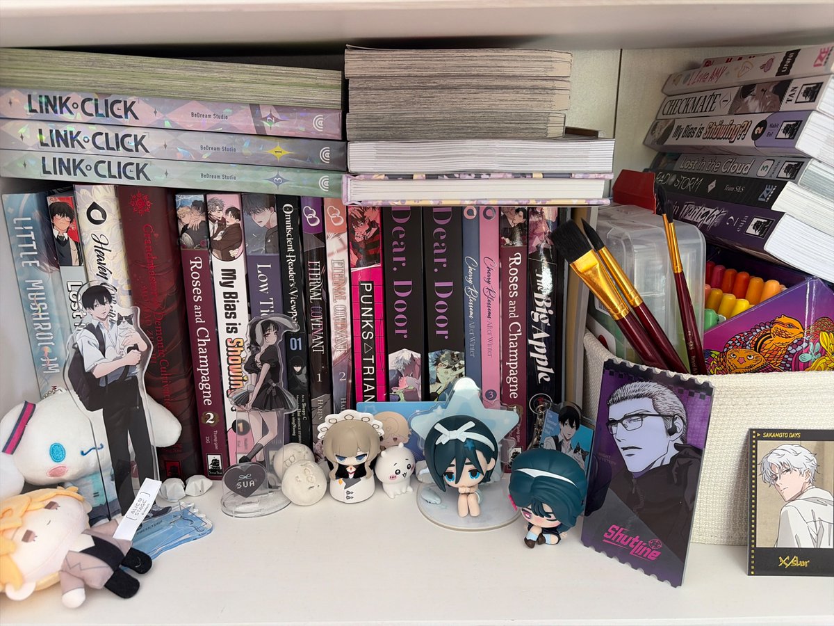 las4yuuna_'s tweet photo. what do ygs think about my mini manhwa collection, it will grow and i will get a new shelf eventually https://t.co/LoDDDgVw2w