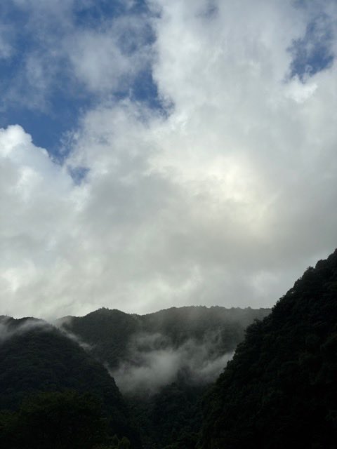 MA71665045's tweet photo. おはようございます(^^)

#イマソラ https://t.co/WjKKVLabUj