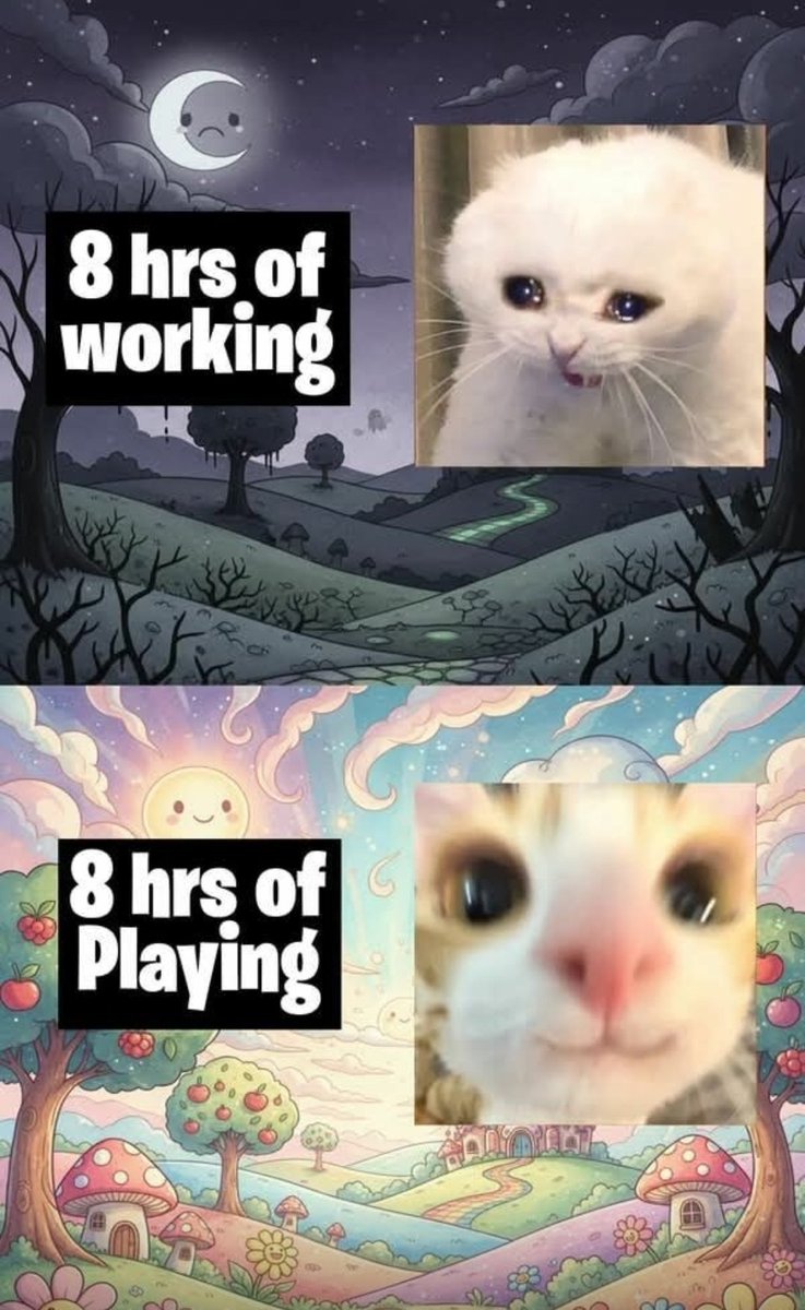 Catsillyness's tweet photo. https://t.co/uN5XQFXeYe