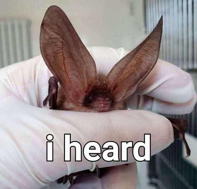 batincrisis's tweet photo. Believe me!!! I can hear you even though you're in grave 🦇 https://t.co/af9oSE806n