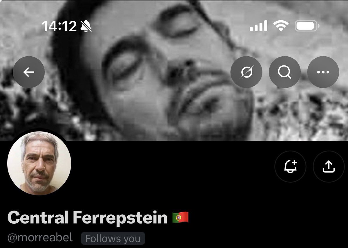 LEME12's tweet photo. O palmeirense mais tranquilo da cabeça https://t.co/rbzMsZtupD