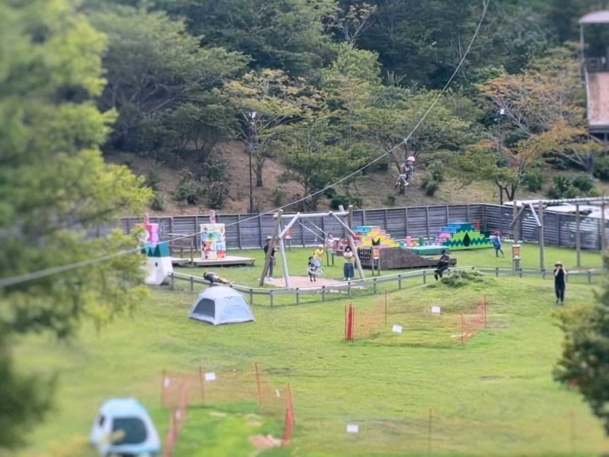 pollopollo129's tweet photo. アスレチック、遊び尽くす性格の娘は開園から閉園まで。森エリアからプレイグラウンド、芝生滑りをしてロングジップラインからの水上アスレチック、昼ごはんは遊びたすぎて道中買ってきたパンのみ…という7時間で大人ぐったりだけれども、娘は大満足。良かったー。 https://t.co/eQ3gLnMtuf