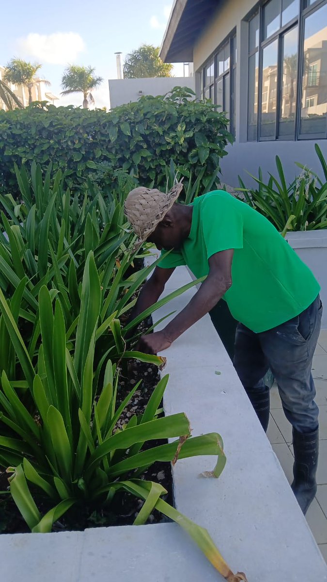 Alejand33669877's tweet photo. Para los trabajadores del Hotel Costa Rey en Cayo Coco, Cuba, conservar en estado óptimo esta instalación es la meta. Aquí todos somos uno.
#CubaUnica #CubaTravel #GranCaribeHotels https://t.co/O3HpZ7pUSp