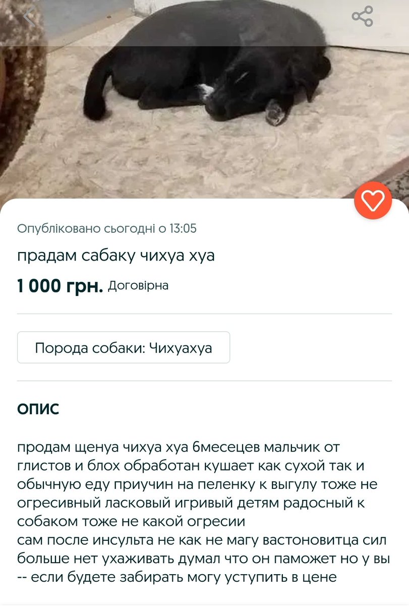 kusla_lumonka's tweet photo. я не планувала плакати сьогодні https://t.co/NGpiPypOrx