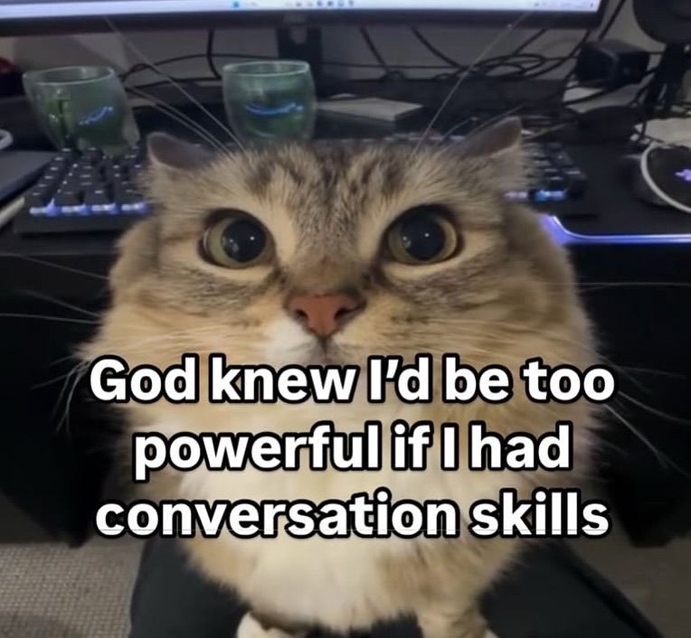 sillymeow4u's tweet photo. https://t.co/OXyyY4ucEu