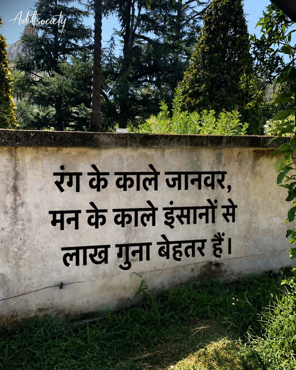 iamarjun99's tweet photo. रंग के काले जानवर, मन के काले इंसानों से लाख गुना बेहतर हैं।💯 https://t.co/WUcCV2h0Nn