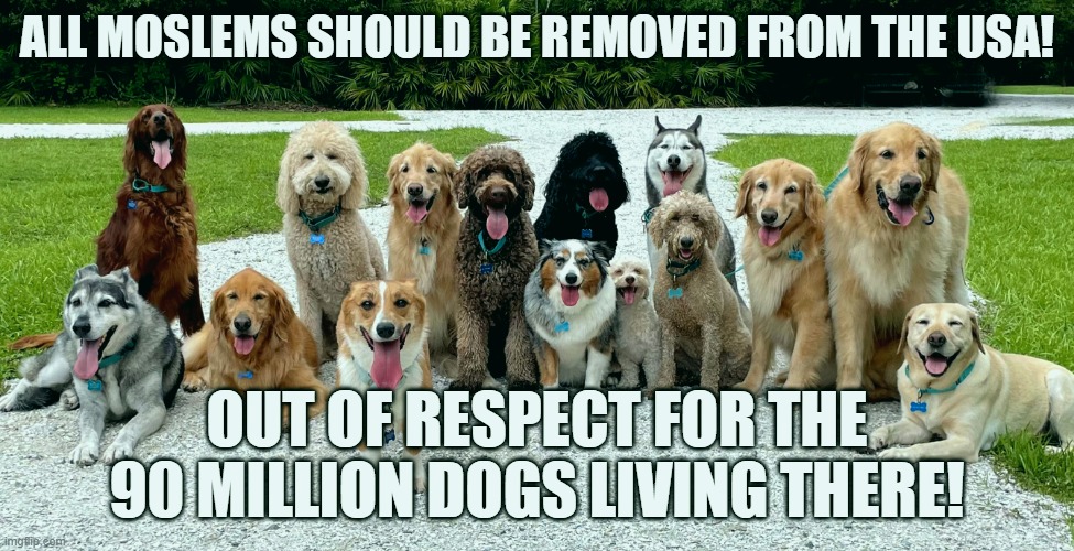 BryanFCarlson1's tweet photo. #Dogs 
#Moslems 
#Deportation  

And YES!  Moslem IS the correct and preferred spelling folks! https://t.co/leAMi17B03