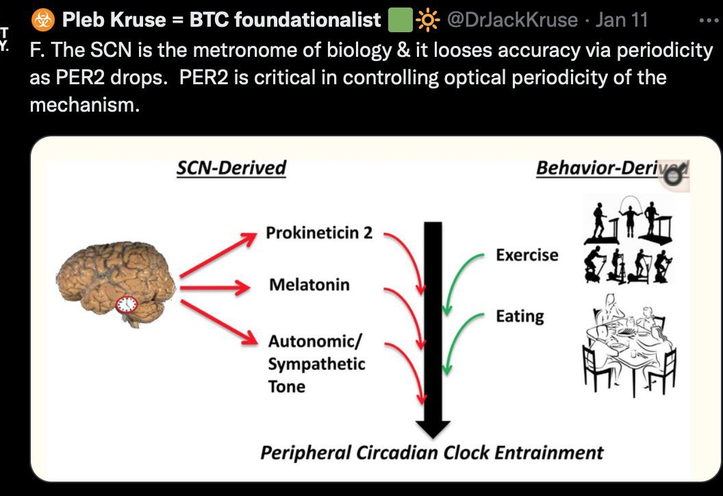 jack_krusepleb's tweet photo. 1. As men age, their Testosterone levels are designed to drop in quantized fashion due to how much water their colony of mitochondria can generate from a unit of electrons and protons from food.  Moreover, this scales back to the relationship NAture?  If your engines are not 0? https://t.co/E0UQzIc1xT