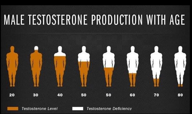 jack_krusepleb's tweet photo. 1. As men age, their Testosterone levels are designed to drop in quantized fashion due to how much water their colony of mitochondria can generate from a unit of electrons and protons from food.  Moreover, this scales back to the relationship NAture?  If your engines are not 0? https://t.co/E0UQzIc1xT