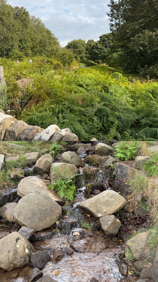 7_nn78's tweet photo. جنة الله في الارض 
Peak District https://t.co/VqE1JZM1AF