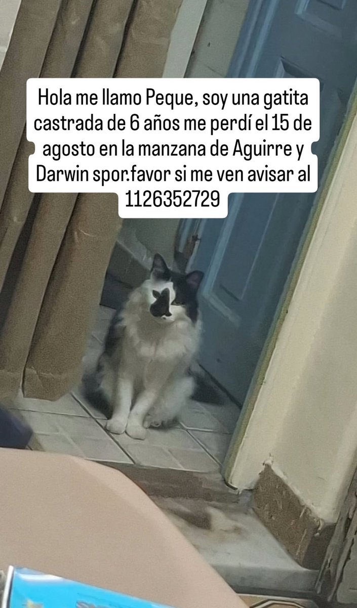 lagarzasosa_'s tweet photo. DIFUNDO! Zona villa Crespo https://t.co/o2GnllzTWp