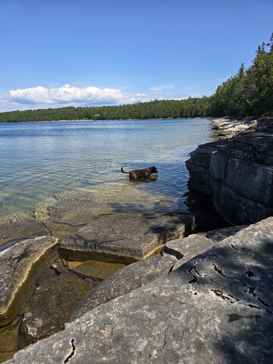 cruizer35's tweet photo. @jamesgraham32 I get it, leaving the cottage on Manitoulin tomorrow early to catch the ferry...... https://t.co/VFu3ScKadj
