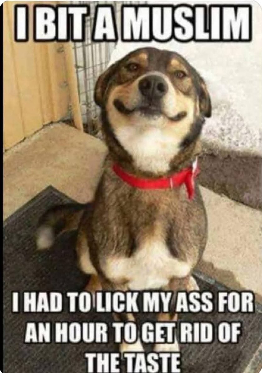 lentontown1's tweet photo. @realMaalouf IMHO - feed them all to the dogs one by one - 
FOR ALL I CARE ! https://t.co/UWk8alXeE8