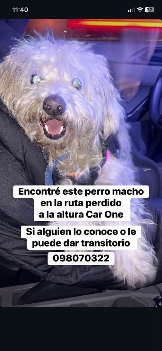 maria_riordain's tweet photo. DIFUNDIR POR FAVOR/ COLABOREMOS COMPARTIENDO 🙏🏻❤️❤️❤️ https://t.co/KQ8Xva3Im9