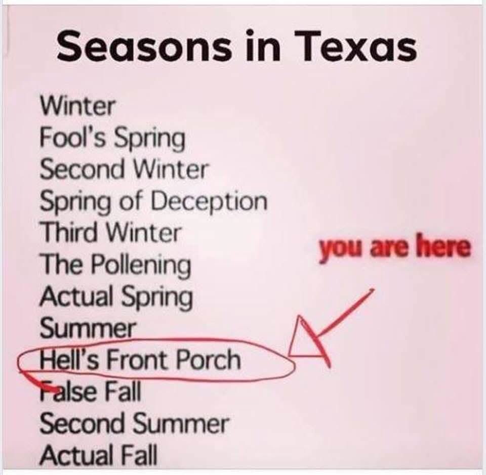 DebncatsATX's tweet photo. Just in case you were wondering… https://t.co/QgP615UbpZ