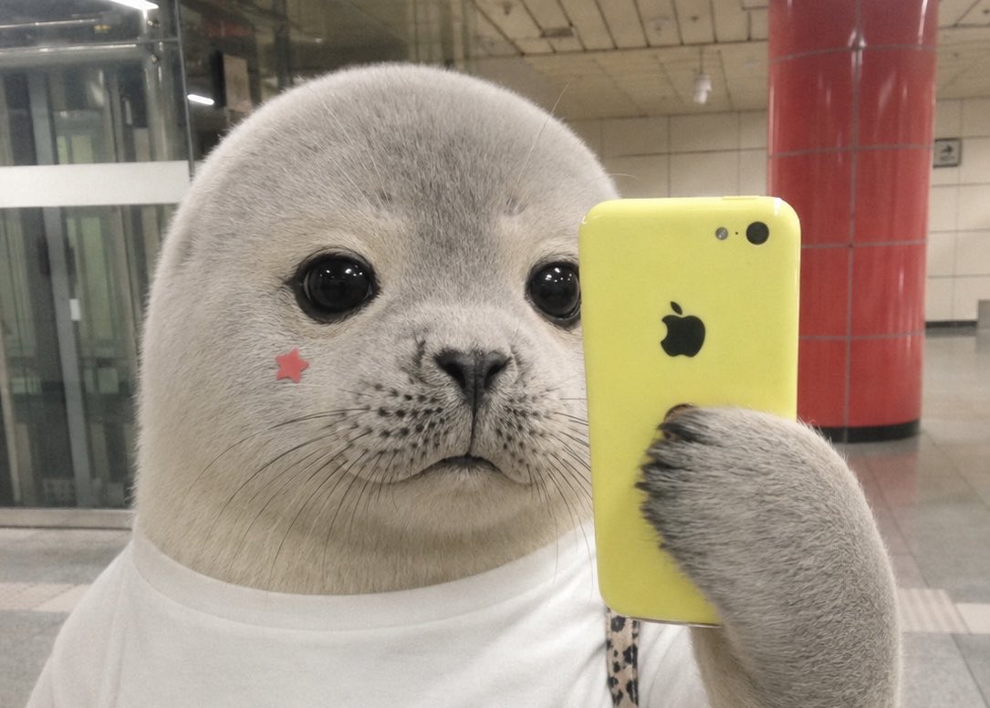otmrke's tweet photo. 결국 샀떠요 노란색!!!🦭🦭 https://t.co/NpcoQ2pOwr