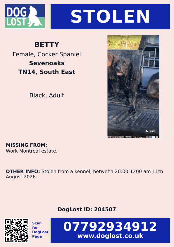 millypod1's tweet photo. BETTY STILL MISSING PLEASE SHARE😢

Nellie found in Michael’s lane #Fawkham https://t.co/qBJzWtteym  

🆘11 AUG 2026 #STOLEN Betty &amp; Nellie #ScanMe
2 Cocker Spaniels Females 
Penn Lane #IdeHill  Montreal Estate #Sevenoaks #Kent #TN14 
https://t.co/XR5CF641pO https://t.co/oeFeVcYAW4