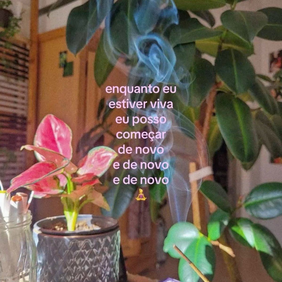 tatahaux's tweet photo. https://t.co/rcWeMAJXcX