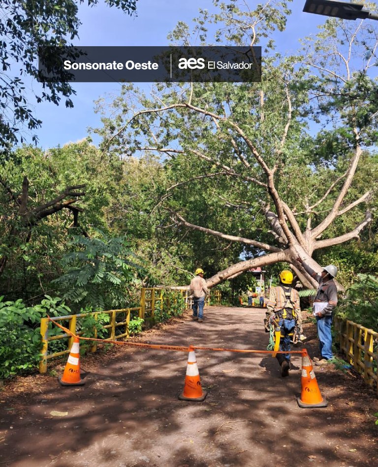 AESElSalvador's tweet photo. #AESInforma | Nuestros equipos técnicos de #AESCLESA se encuentran trabajando en el restablecimiento del suministro eléctrico en la zona de Playa Los Cóbanos (distrito de Acajutla, Sonsonate Oeste), el cual se vio afectado tras la caída de un árbol de grandes dimensiones sobre la red #NuestraEnergíaNoSeDetiene