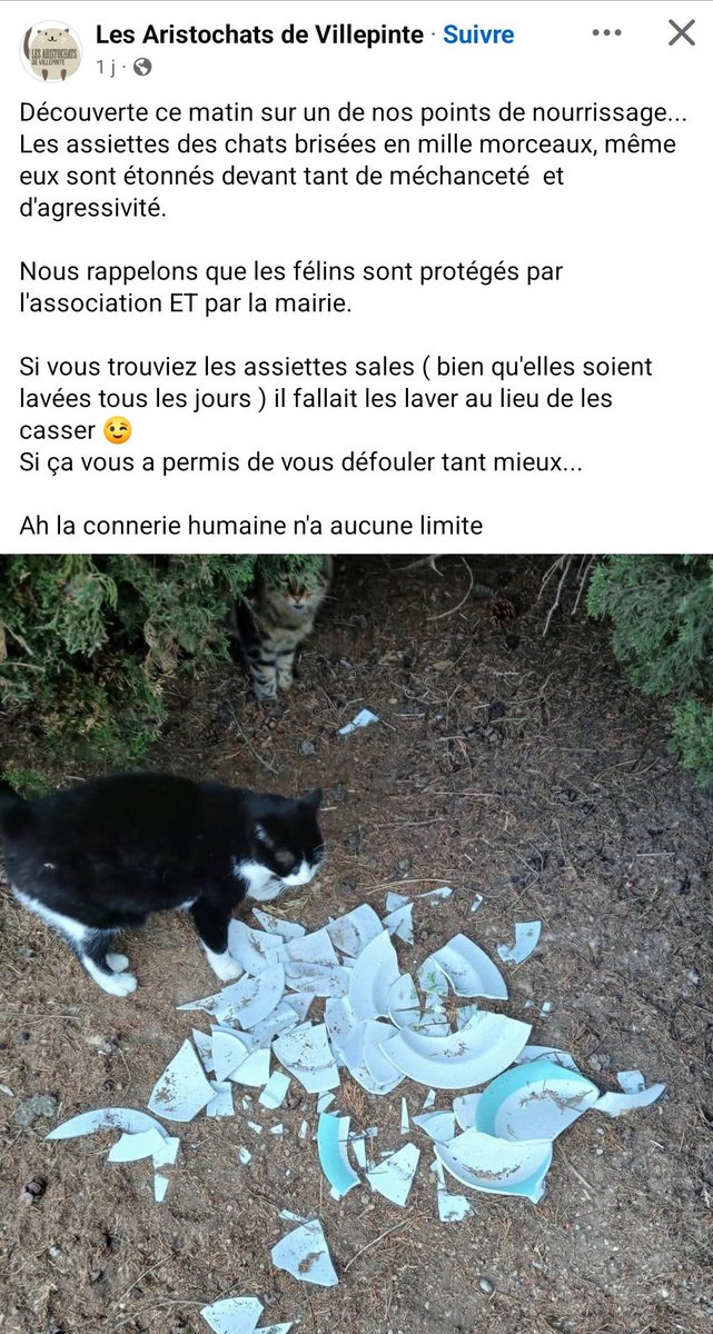 Loovenelle's tweet photo. C'est quand même dég*** de faire ça !! 😡😡😡 https://t.co/DAnDs6sLr8