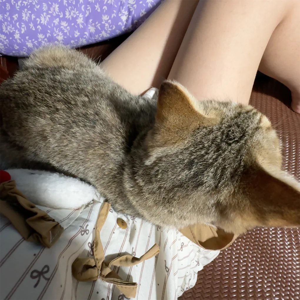 embexiusxiu's tweet photo. qua la iu https://t.co/3DYFNnIgM2