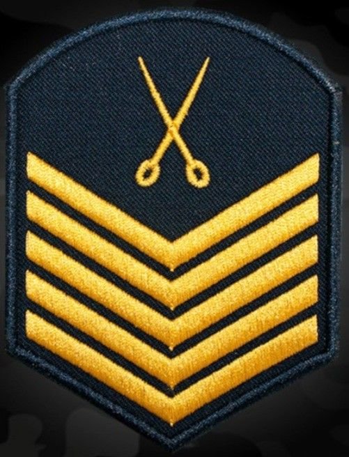 DoubleAhussar's tweet photo. Premium hand-embroidered military &amp; naval chevrons! High-quality bullion thread on premium fabric background.
Custom designs &amp; precise stitching
 Bulk &amp; OEM orders available
​DM us for orders &amp; details! 📩
info.doubleahussarjacket@gmail.com https://t.co/B8Ook2zGOr