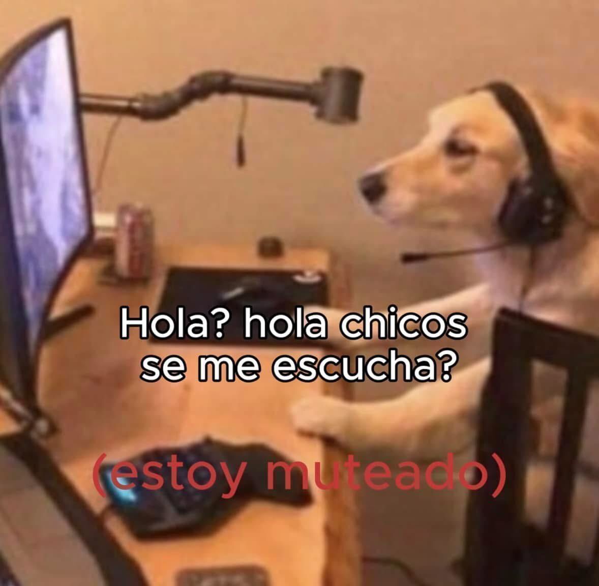 wikipistacho's tweet photo. https://t.co/p0R0waWWeM