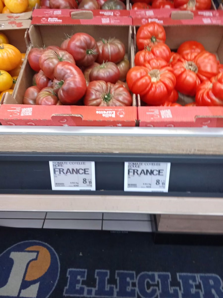 lolitazemorita's tweet photo. ‼️Des tomates qui arrivent 
d’ UKRAINE peut être 😡😡😡 ils se foutent  vraiment de notre gueule😡😡😡

Source FB et je confirme 😡
Mon coût de gueule du jour !!!
Je suis écœuré ! Vu aujourd'hui chez Leclerc ( Celui qui est le moins cher) les tomates au prix exorbitant de 8€15 le kilo, c'est véritablement du foutage de gueule. ( Je sais qu'il ne faudrait plus convertir le prix en franc) Mais là  je me pose la question " qui aurait acheté des tomates a 51 franc le kilo ? " A savoir que nous trouvons dans le même magasin, la barquette de farce à légumes aux alentours de 4€ les 500grs soit 8€ le kilo. Et bien nous y sommes, aujourd'hui la viande est moins chère que les tomates !!! Je n'ai qu'une seule chose a dire pour finir "Ça va durer longtemps ce bordel ?"
