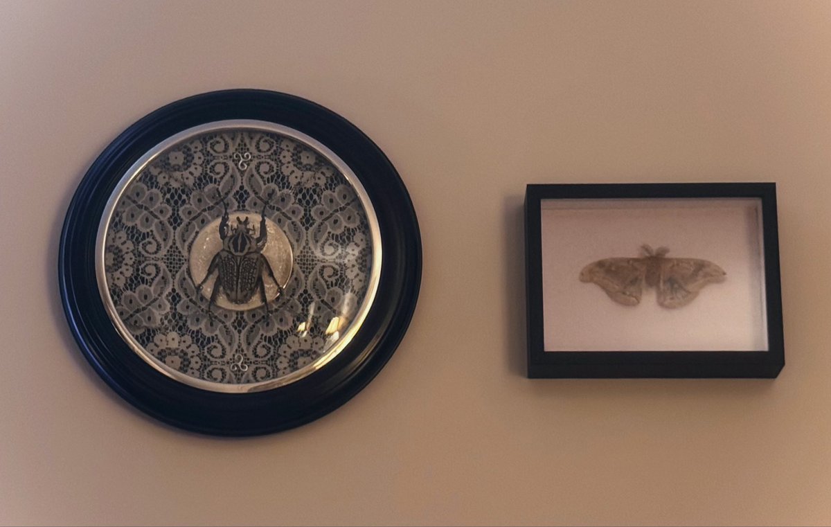 cherry_cicada's tweet photo. my bugs are gay lovers https://t.co/pa6J6M6y9q