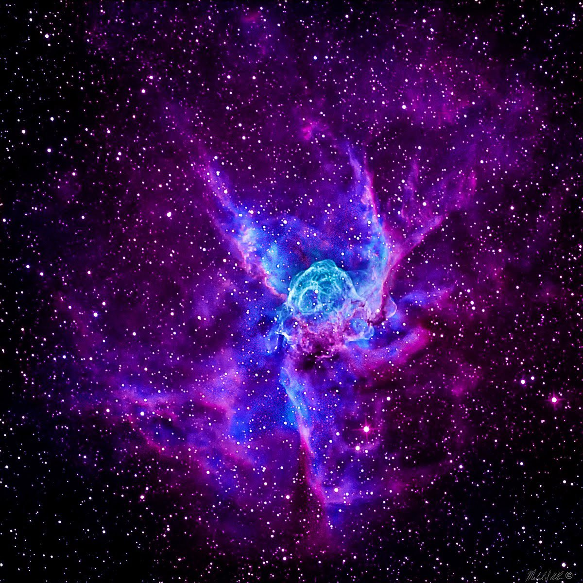 maiz_julio's tweet photo. NGC2359 Thor'r Helmet Nebula in Canis Major constellation (wikipedia) https://t.co/gRzGchOCFp