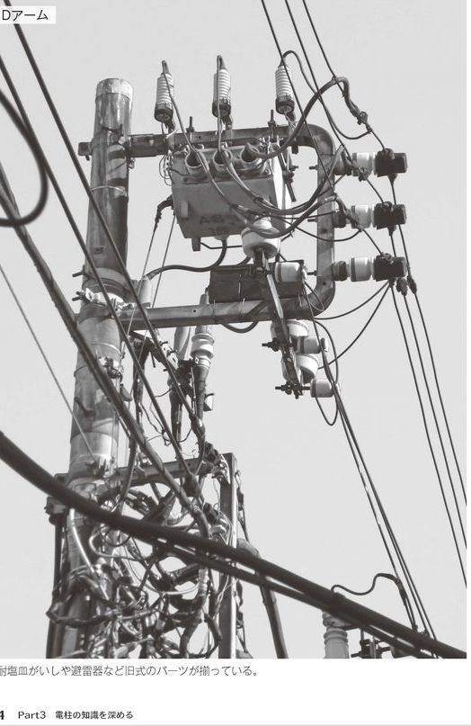 Petsuchan's tweet photo. For the H.Anno and Serial Experiments Lain Japanese Power Pole enthusiasts. 

There is a literal book called "Denchu Mania."

It goes through the history of them, teaches you the basics and how to enjoy them.

No joke I recommend for indie developers.

https://t.co/gm9uTjNc4c https://t.co/i2CF6Mdthb